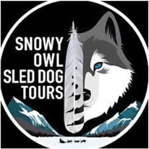 Snowy Owl Sled Dog Tours