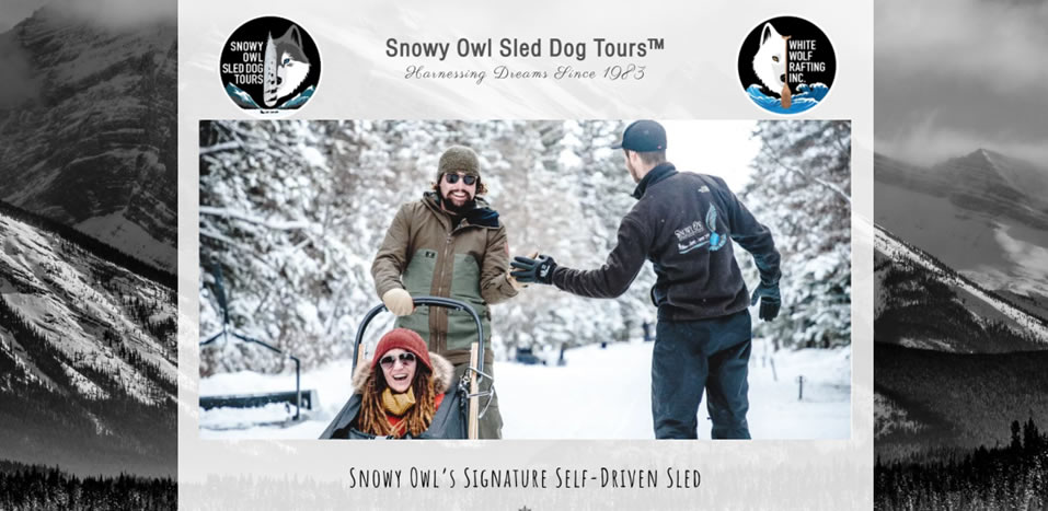 Snowy Owl Dog Sled Tours <br><span id="valuep"><small>Value:</small> $656</span> - Image 4