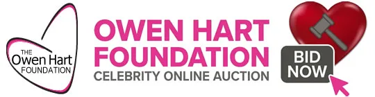 Owen Hart Foundation - Hart Auction