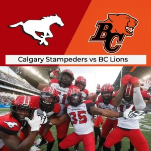Stampeders vs Lions