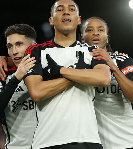 Fulham Football Game – 4 Seats <br><span id="valuep"><small>Value:</small> $4400</span> - Image 4