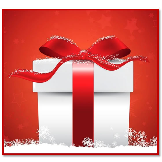 Christmas Mystery Gift Package